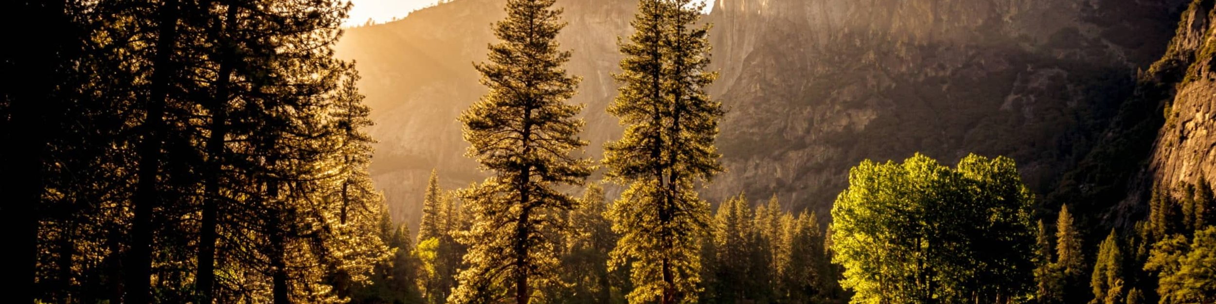 Sunrise over piling posts and waterfront dock